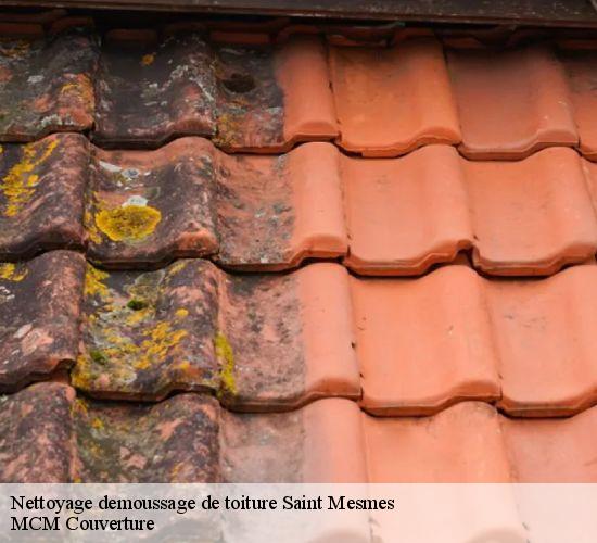 Nettoyage demoussage de toiture  saint-mesmes-77410 MCM Couverture