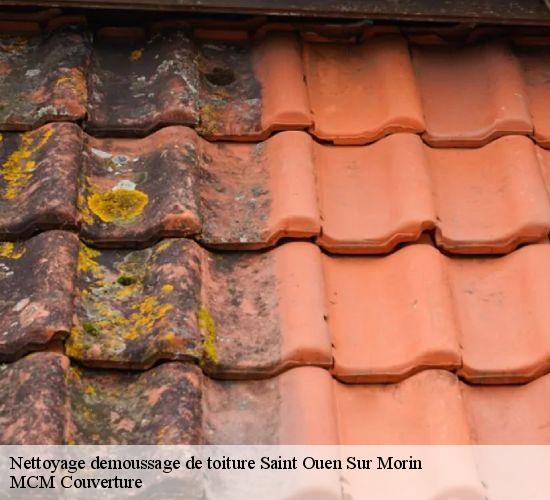 Nettoyage demoussage de toiture saint-ouen-sur-morin-77750 MCM Couverture