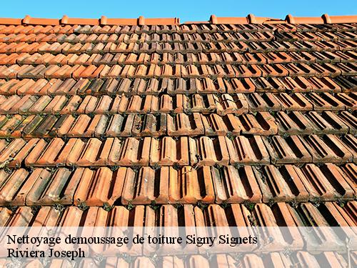 Nettoyage demoussage de toiture  signy-signets-77640 Artisan Schtenegry