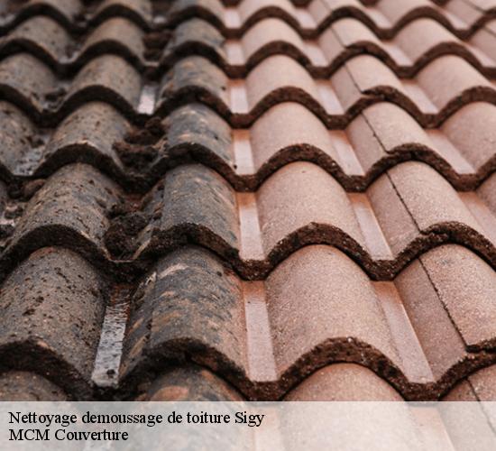 Nettoyage demoussage de toiture sigy-77520 MCM Couverture