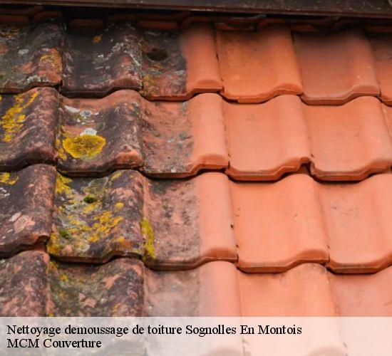 Nettoyage demoussage de toiture sognolles-en-montois-77520 MCM Couverture