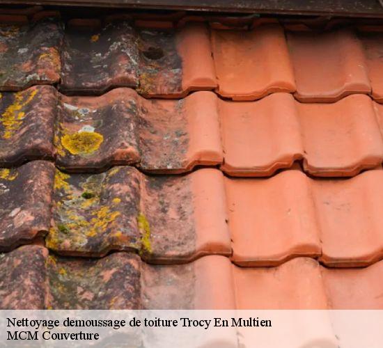 Nettoyage demoussage de toiture trocy-en-multien-77440 MCM Couverture