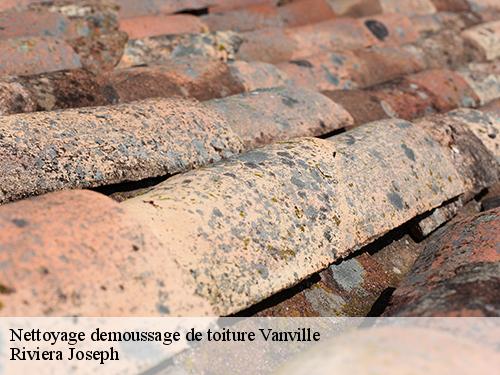 Nettoyage demoussage de toiture  vanville-77370 Artisan Schtenegry
