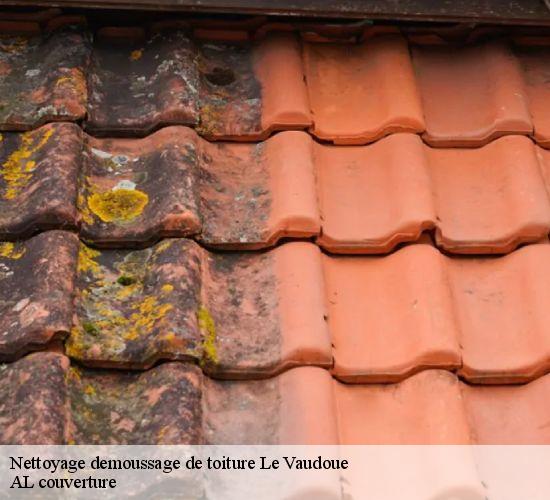 Nettoyage demoussage de toiture  le-vaudoue-77123 AL couverture