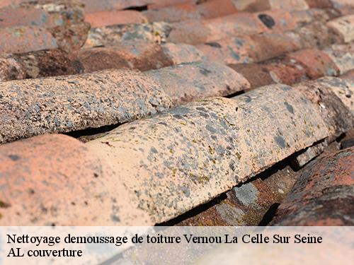 Nettoyage demoussage de toiture vernou-la-celle-sur-seine-77670 Artisan Schtenegry
