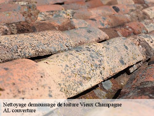 Nettoyage demoussage de toiture vieux-champagne-77370 Artisan Schtenegry