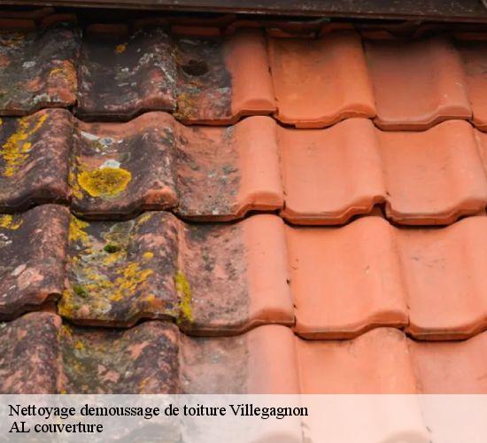 Nettoyage demoussage de toiture  villegagnon-77970 AL couverture