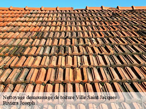 Nettoyage demoussage de toiture  ville-saint-jacques-77130 Riviera Joseph