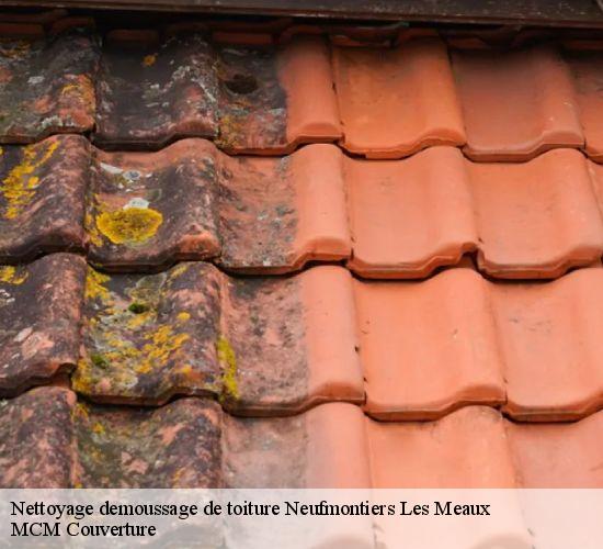 Nettoyage demoussage de toiture  neufmontiers-les-meaux-77124 MCM Couverture