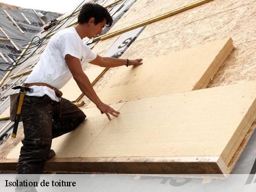 Isolation de toiture  montceaux-les-meaux-77470 Artisan Schtenegry