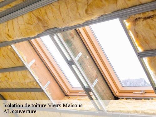 Isolation de toiture vieux-maisons-77320 Artisan Schtenegry