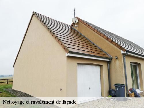 Nettoyage et ravalement de façade  grisy-sur-seine-77480 Arnaud Couverture l'habitat et le confort 
