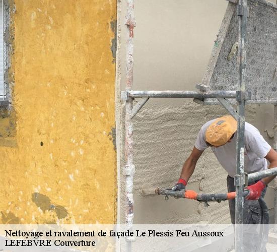 Nettoyage et ravalement de façade  le-plessis-feu-aussoux-77540 LEFEBVRE Couverture 