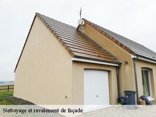 Nettoyage et ravalement de façade la-tombe-77130 Artisan Schtenegry