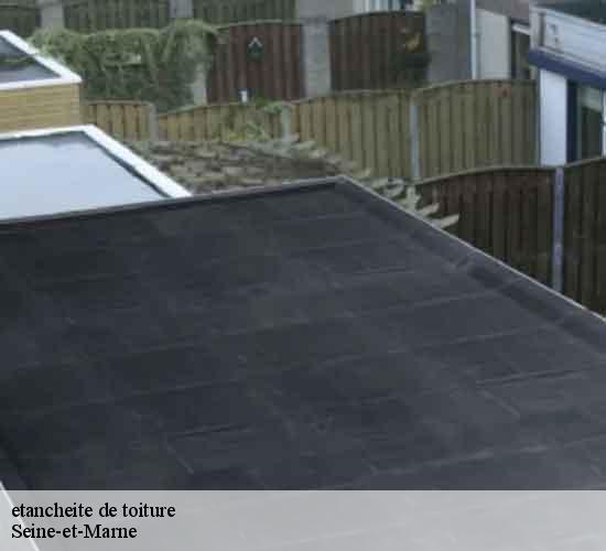 etancheite de toiture 77 Seine-et-Marne  MCM Couverture