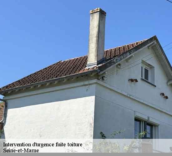 Intervention d'urgence fuite toiture 77 Seine-et-Marne LEFEBVRE Couverture