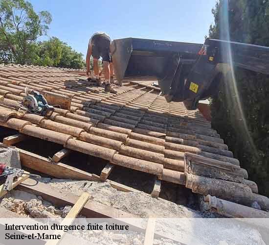 Intervention d'urgence fuite toiture  77 Seine-et-Marne  MCM Couverture