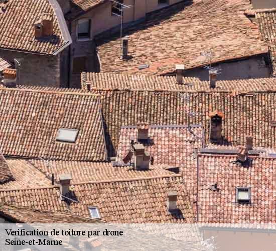 Verification de toiture par drone 77 Seine-et-Marne  MCM Couverture
