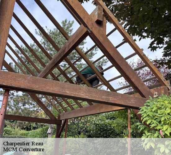 Charpentier  reau-77550 MCM Couverture