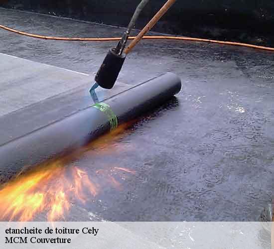 etancheite de toiture  cely-77930 MCM Couverture