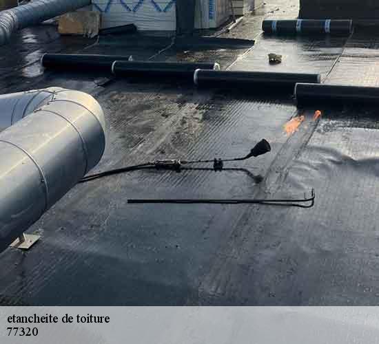 etancheite de toiture chevru-77320 MCM Couverture