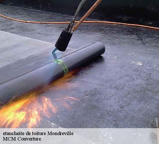 etancheite de toiture  mondreville-77570 MCM Couverture