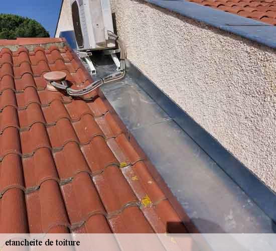 etancheite de toiture  mons-en-montois-77520 MCM Couverture