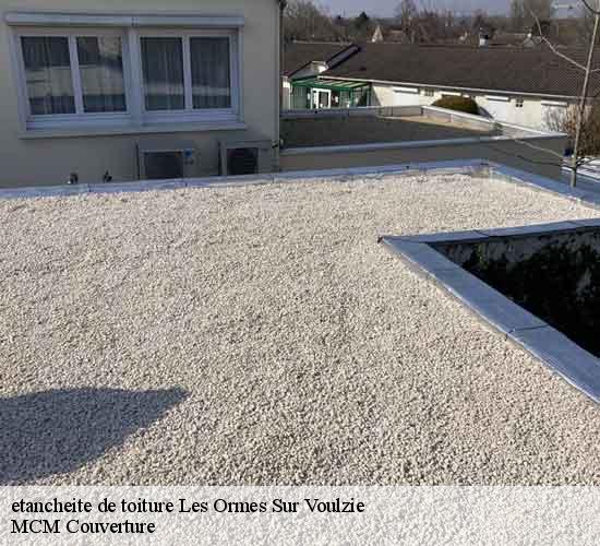 etancheite de toiture  les-ormes-sur-voulzie-77134 MCM Couverture