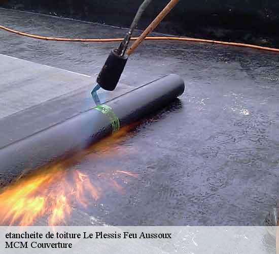etancheite de toiture  le-plessis-feu-aussoux-77540 MCM Couverture