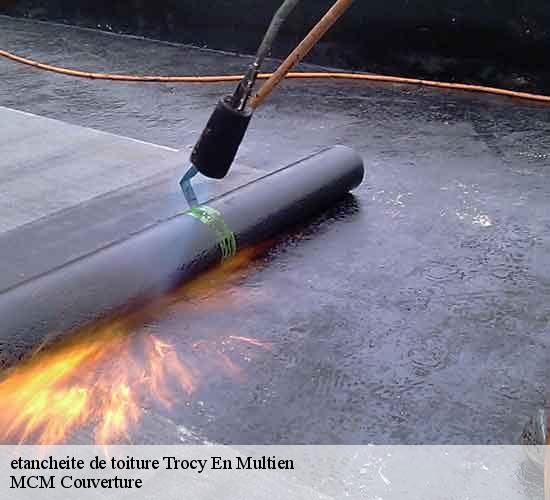 etancheite de toiture  trocy-en-multien-77440 MCM Couverture