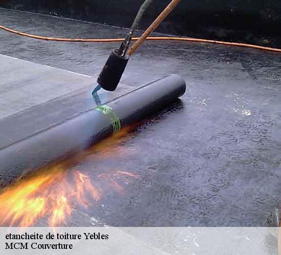 etancheite de toiture  yebles-77390 MCM Couverture