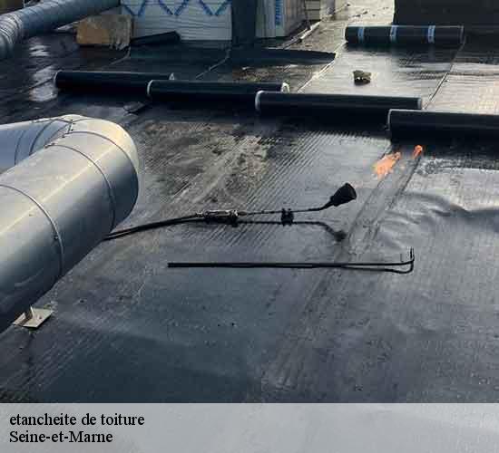 etancheite de toiture MCM Couverture