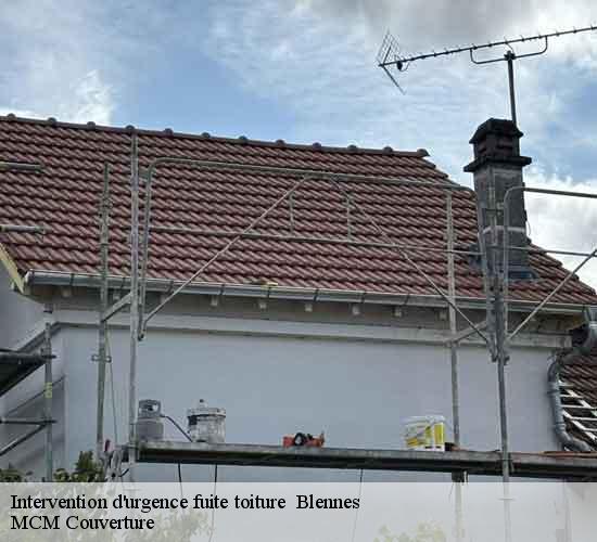 Intervention d'urgence fuite toiture blennes-77940 MCM Couverture