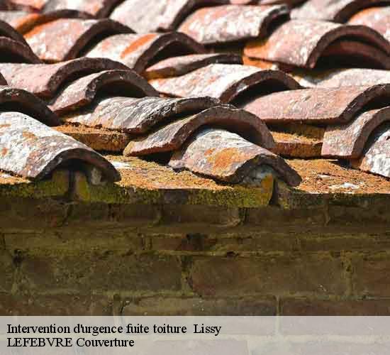 Intervention d'urgence fuite toiture lissy-77550 LEFEBVRE Couverture