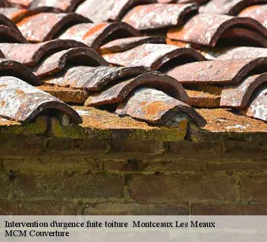 Intervention d'urgence fuite toiture montceaux-les-meaux-77470 MCM Couverture