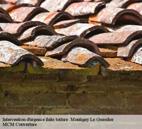 Intervention d'urgence fuite toiture   montigny-le-guesdier-77480 MCM Couverture