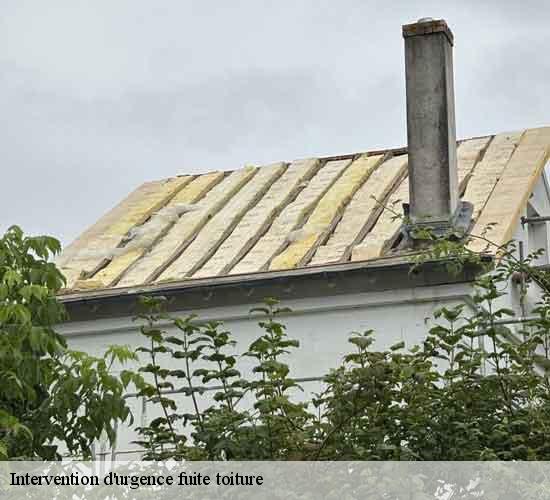 Intervention d'urgence fuite toiture reau-77550 MCM Couverture