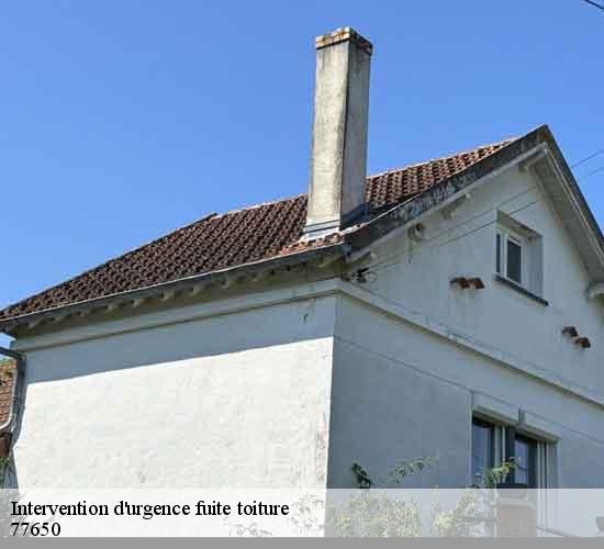 Intervention d'urgence fuite toiture   sainte-colombe-77650 LEFEBVRE Couverture 
