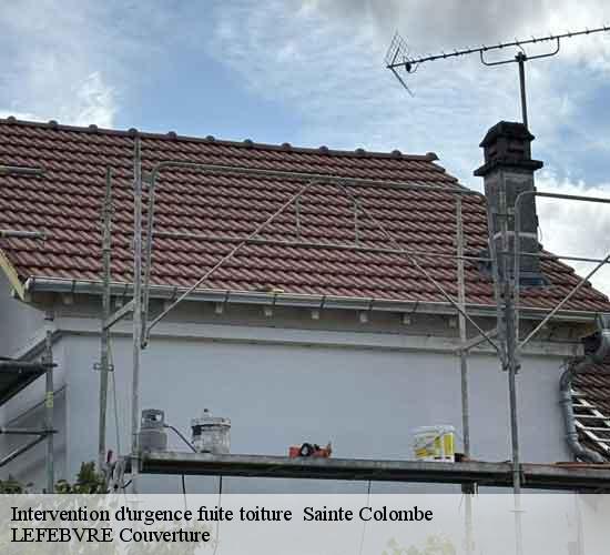 Intervention d'urgence fuite toiture   sainte-colombe-77650 LEFEBVRE Couverture 